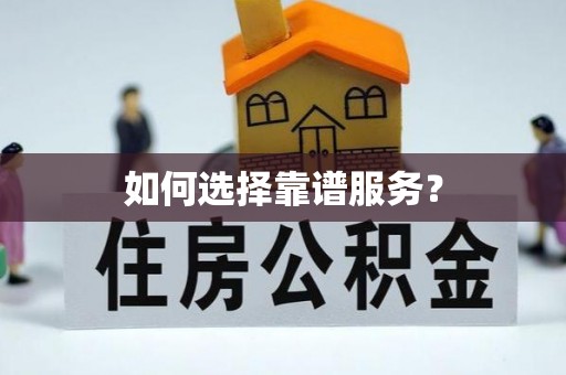 霞浦如何选择靠谱服务？