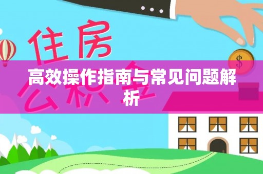 霞浦高效操作指南与常见问题解析