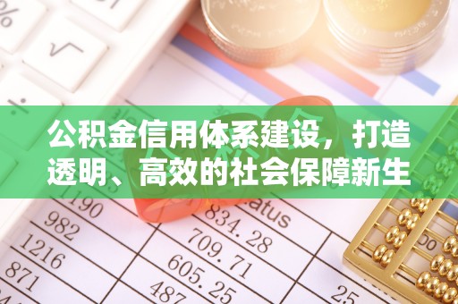 霞浦公积金信用体系建设，打造透明、高效的社会保障新生态