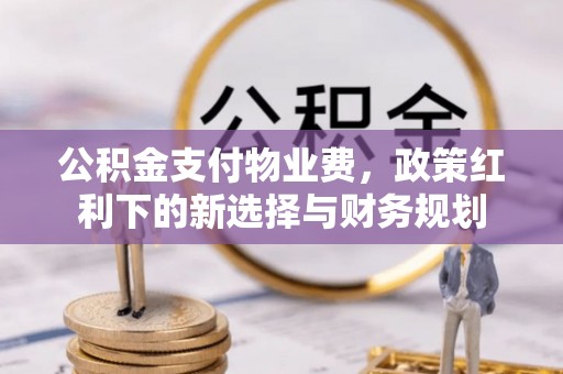 霞浦公积金支付物业费，政策红利下的新选择与财务规划