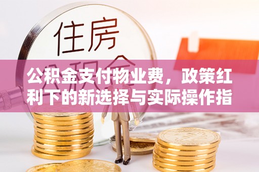 霞浦公积金支付物业费，政策红利下的新选择与实际操作指南