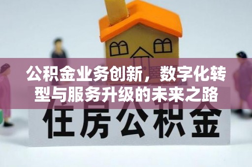霞浦公积金业务创新，数字化转型与服务升级的未来之路