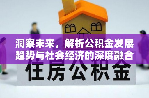 霞浦洞察未来，解析公积金发展趋势与社会经济的深度融合