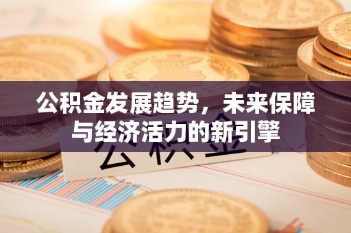 霞浦公积金发展趋势，未来保障与经济活力的新引擎