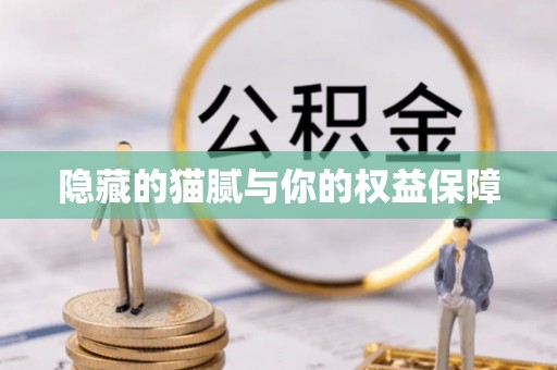霞浦隐藏的猫腻与你的权益保障