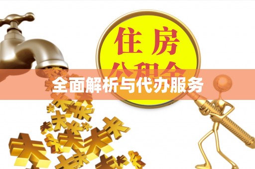 霞浦全面解析与代办服务