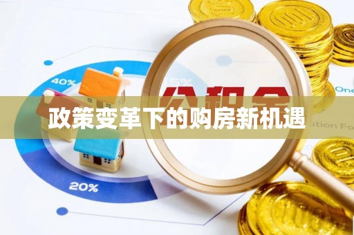 霞浦政策变革下的购房新机遇