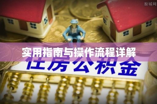 霞浦实用指南与操作流程详解
