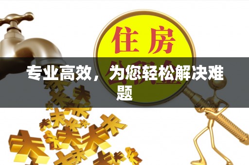 霞浦专业高效，为您轻松解决难题