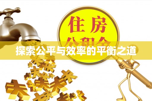 霞浦探索公平与效率的平衡之道