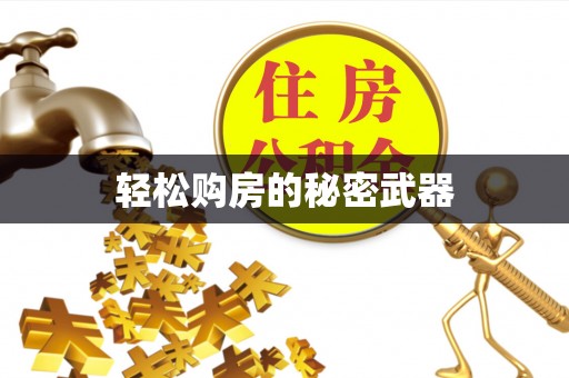 霞浦轻松购房的秘密武器