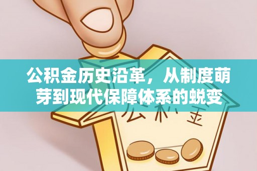 霞浦公积金历史沿革，从制度萌芽到现代保障体系的蜕变