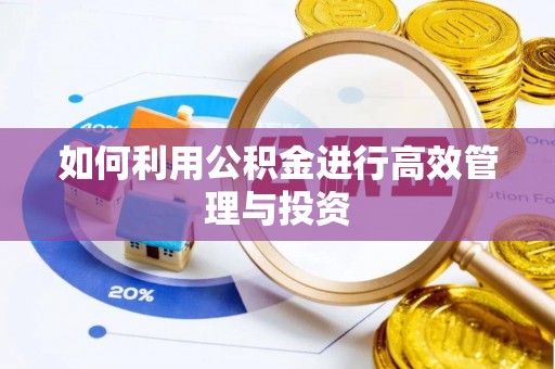 霞浦如何利用公积金进行高效管理与投资
