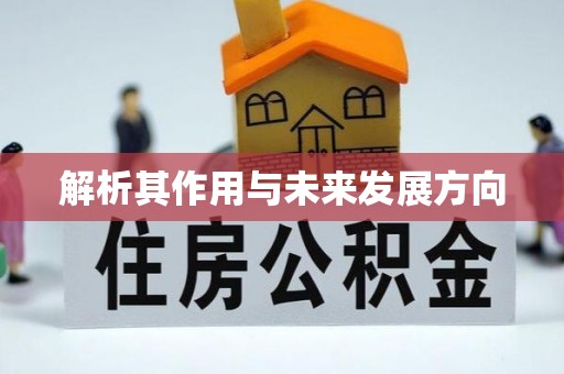 霞浦解析其作用与未来发展方向