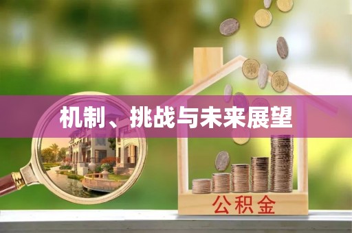 霞浦机制、挑战与未来展望